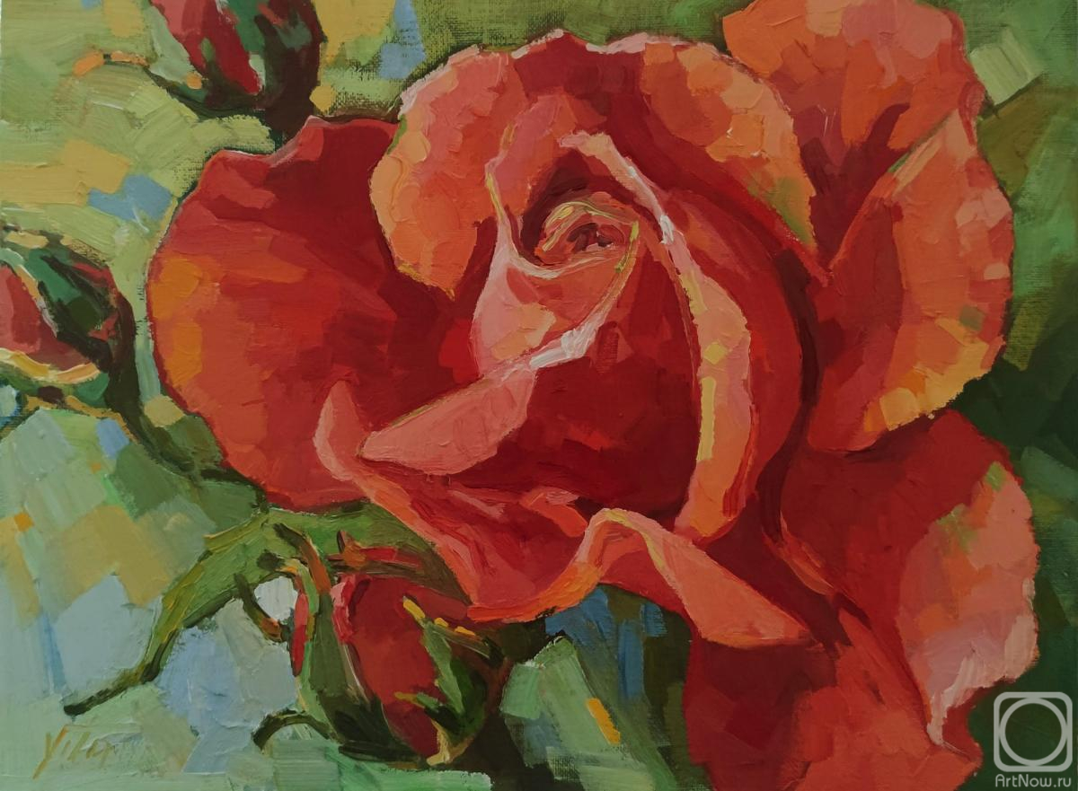 ������� ������ �� ������. ������ ��������. �������