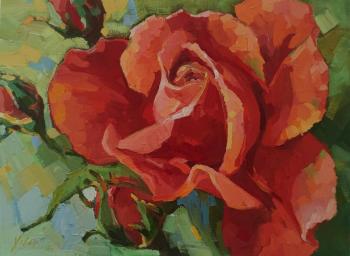 ������� ��������