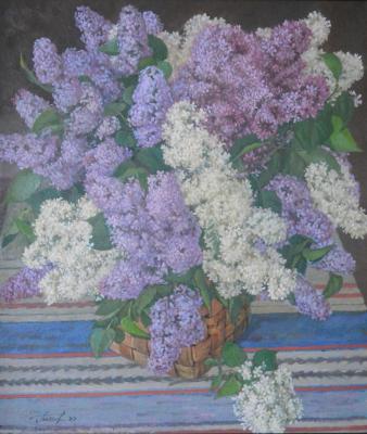 ������. ������ �������