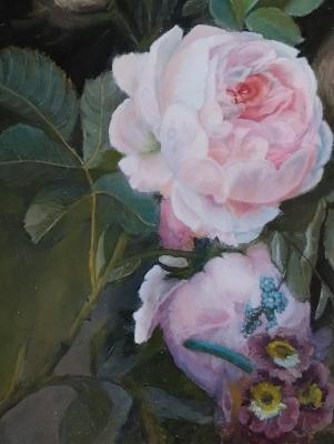 ����� �������� ��� ��������