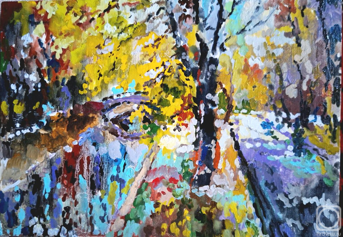 ������� ������ �� ������. ������ ����. ���� ������������ ���������