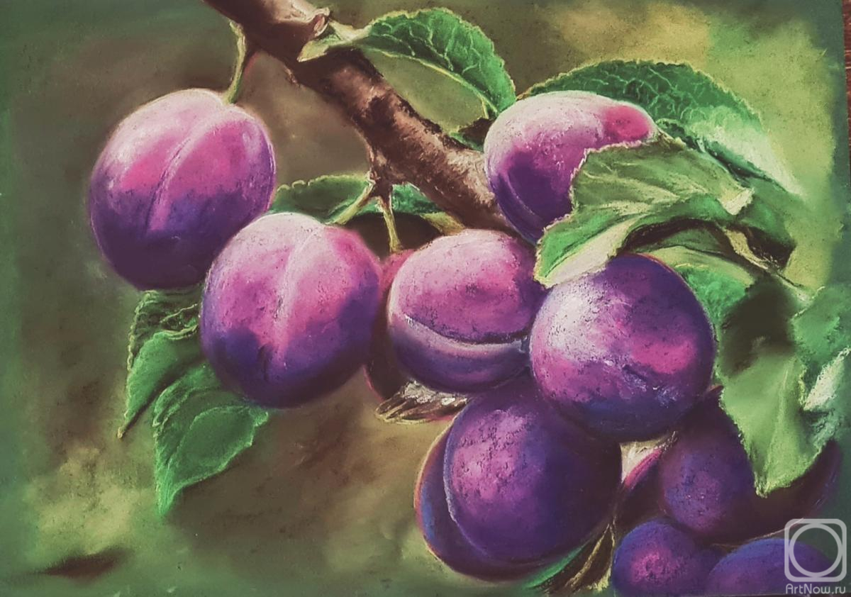 �������. ������������ �����. ������ �����