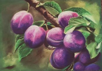 Untitled. Ralosavlevich Elena