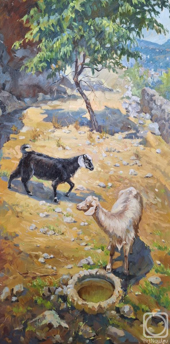 ������� ������ �� ������. �������� �������. ��� � ��