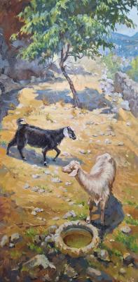 ������� ���� � ���