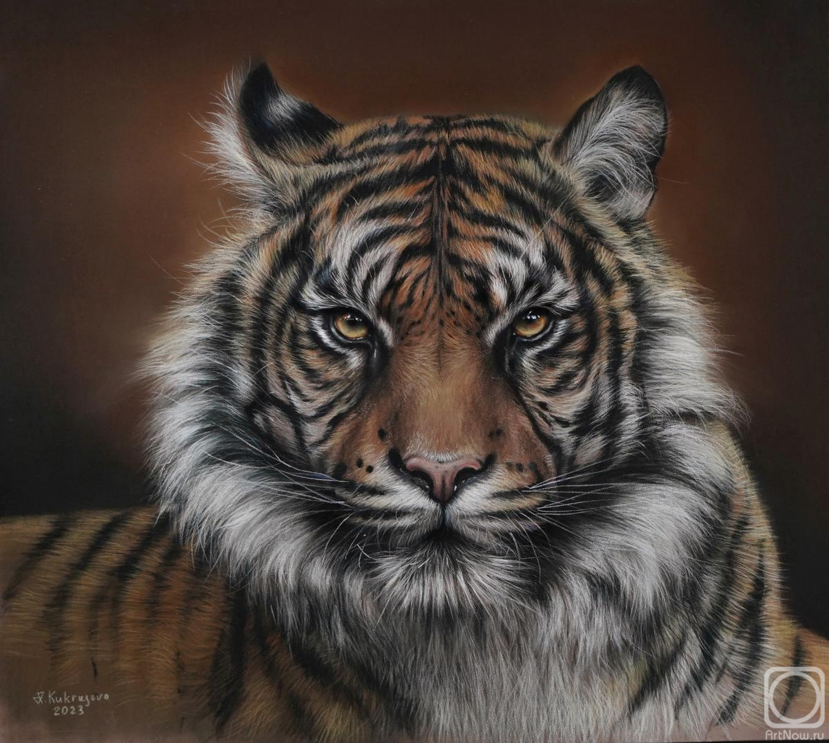 �������. ��������� �����. ������� ��� ����