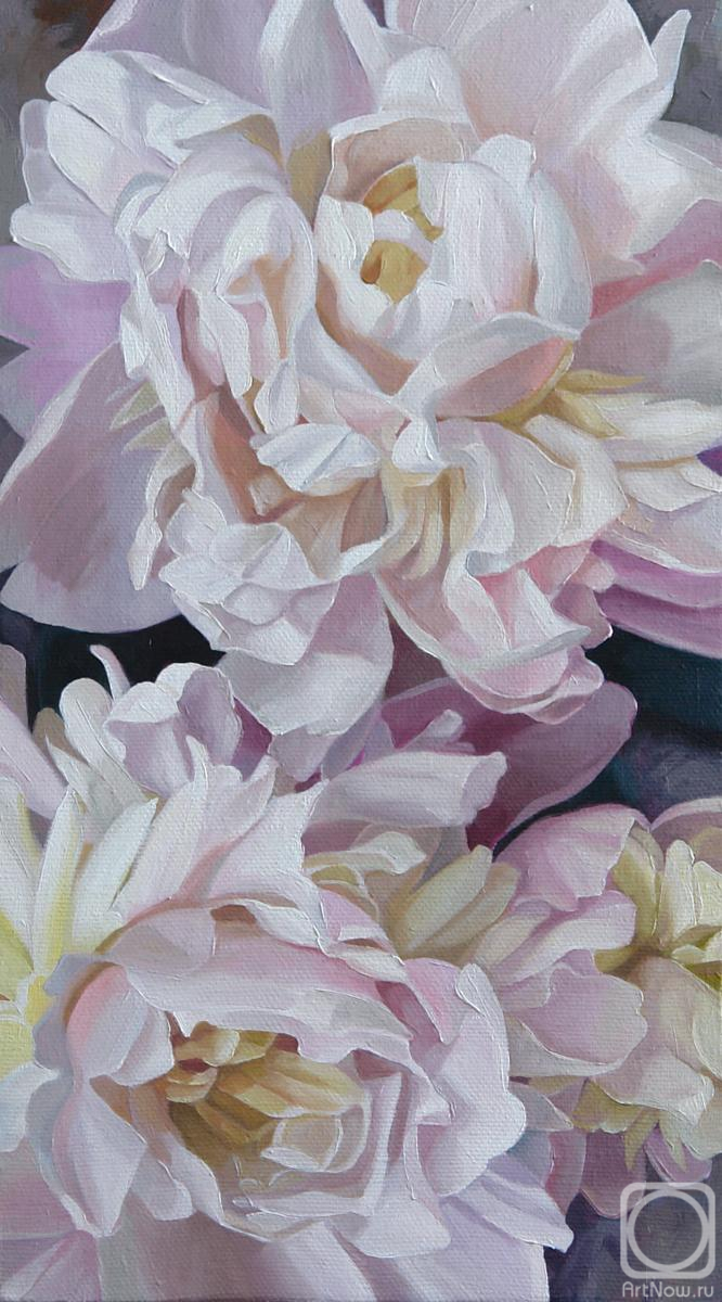 ������� ������ �� ������. ���������� ���������. ������� �����