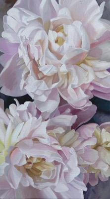 ������� �����. ���������� ���������