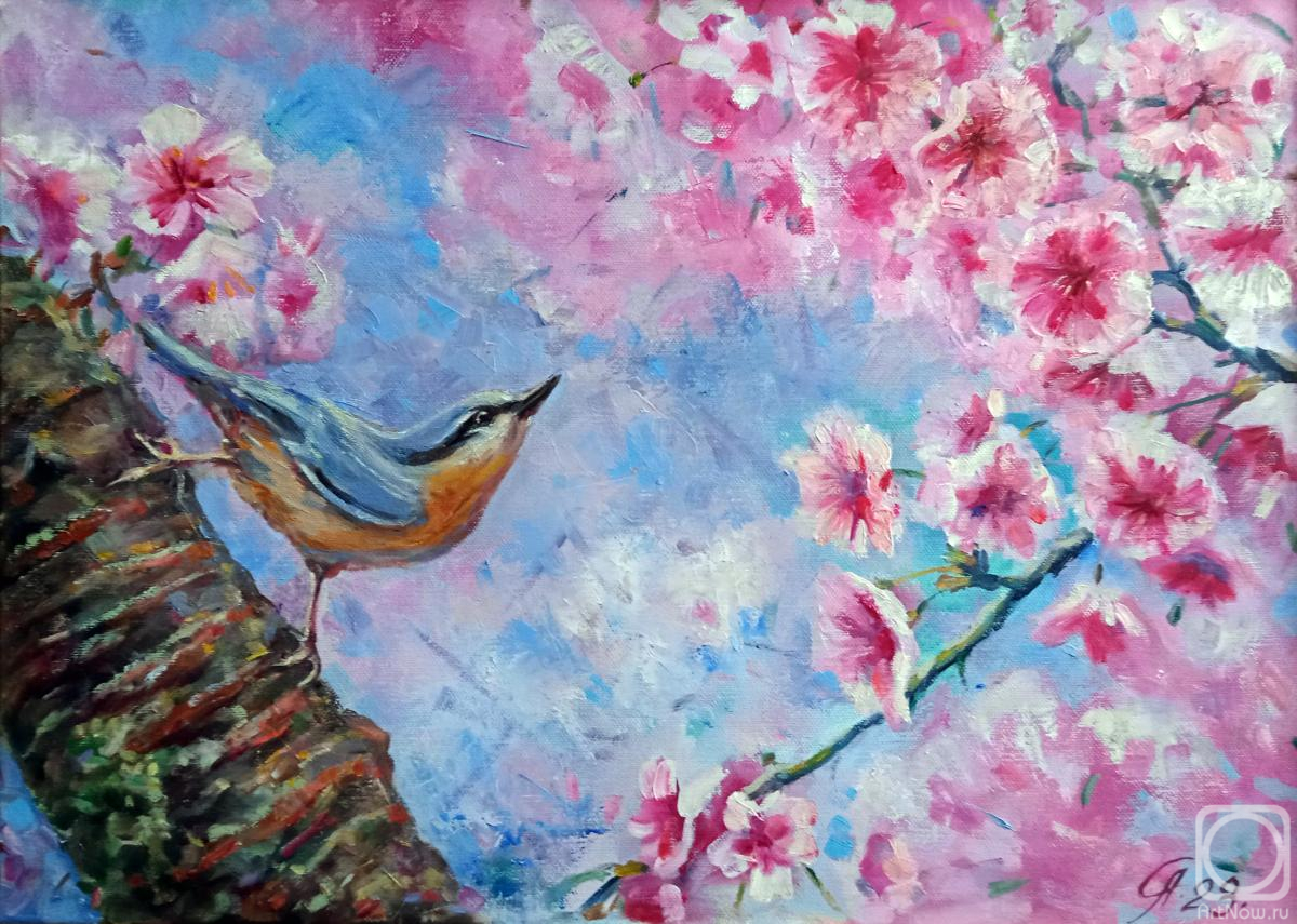 ������� ������ �� ������. ������� ������. �������� ������