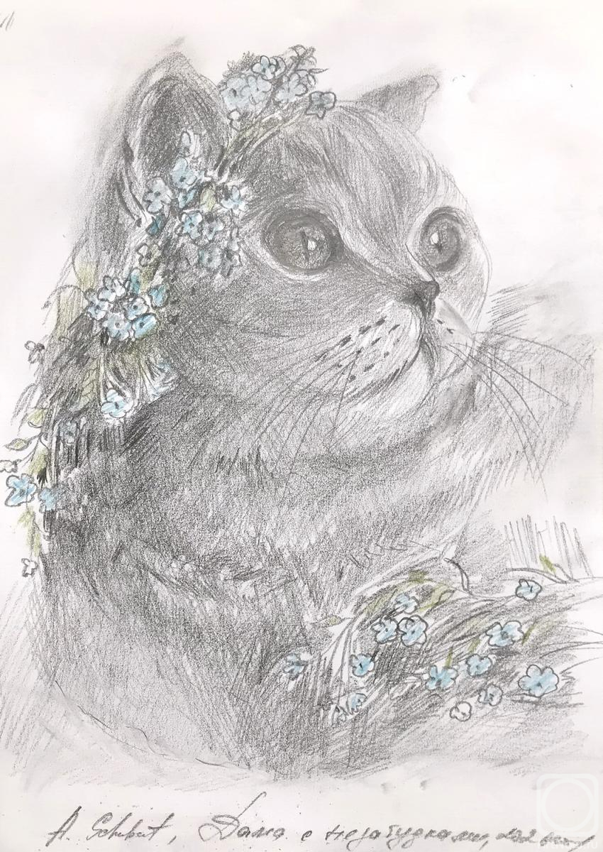 �������. ������ �������. ���� � �����������