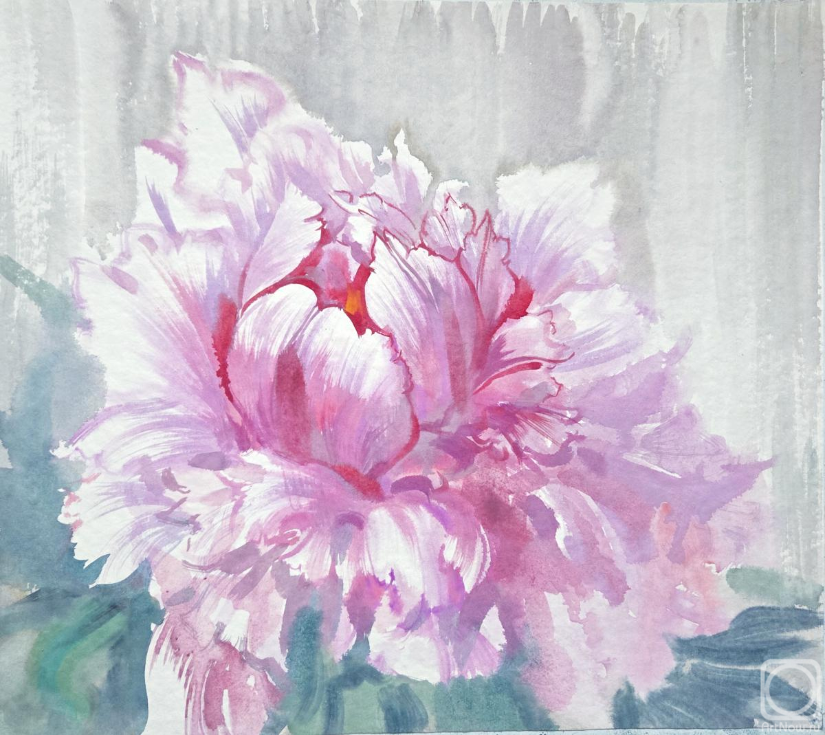 �������. ���������� ���������. ������ ����