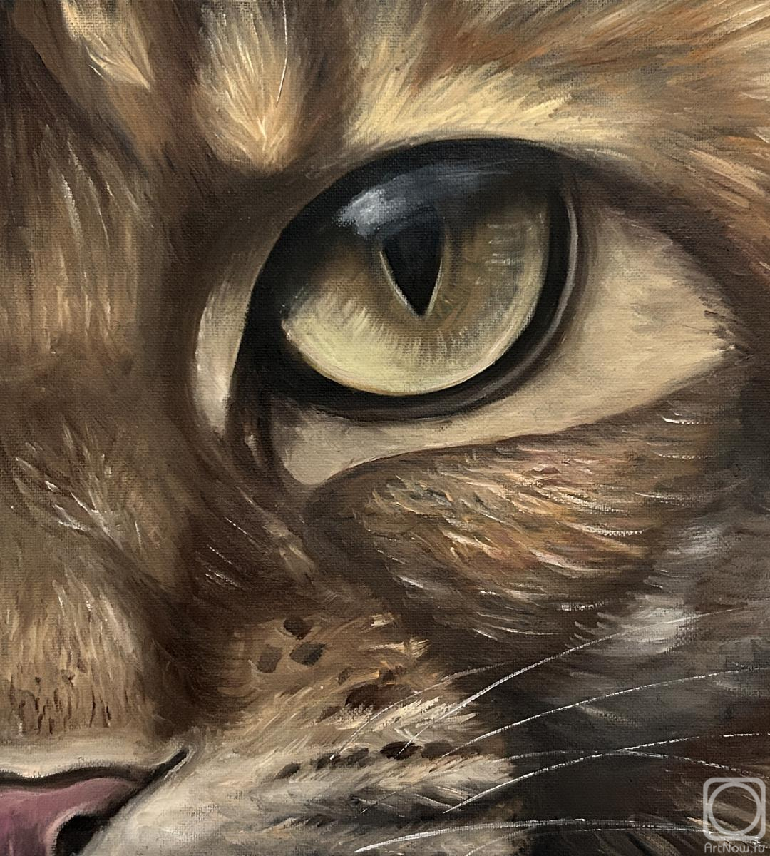 ������� ������ �� ������. ����� �������. ����� ���