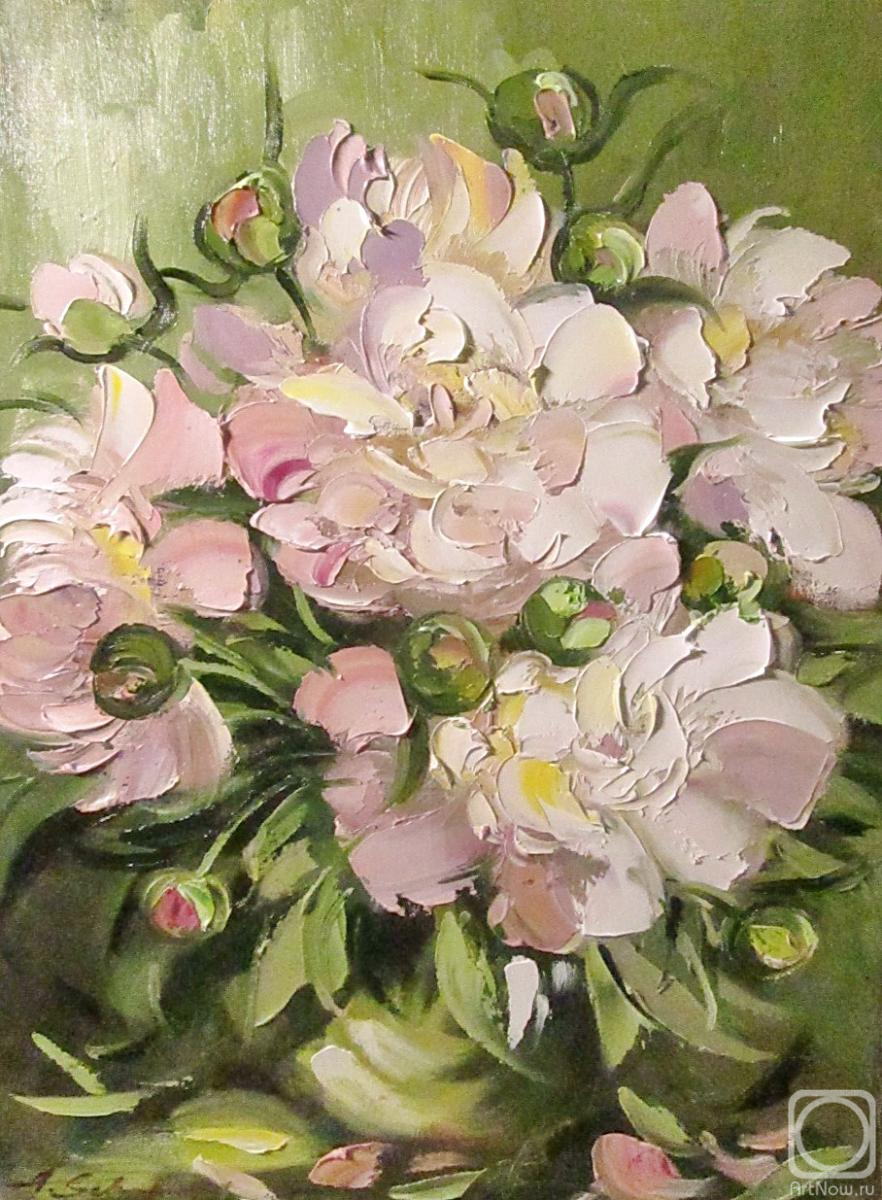 Schubert Albina. Untitled