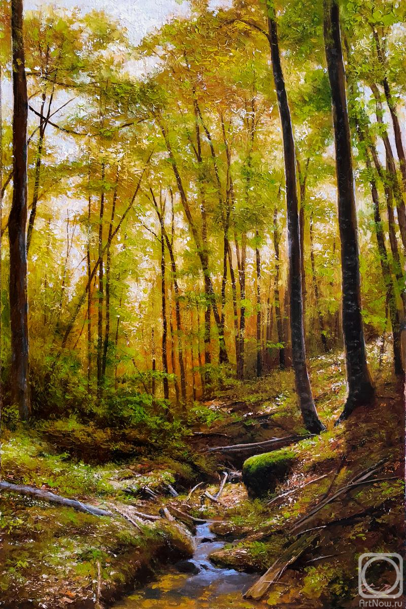 �������. ���������� ��������. ���� . ������ �������� ����