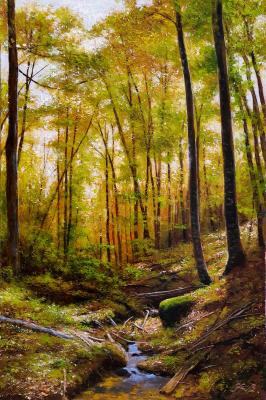 ���� . ������ �������� ����