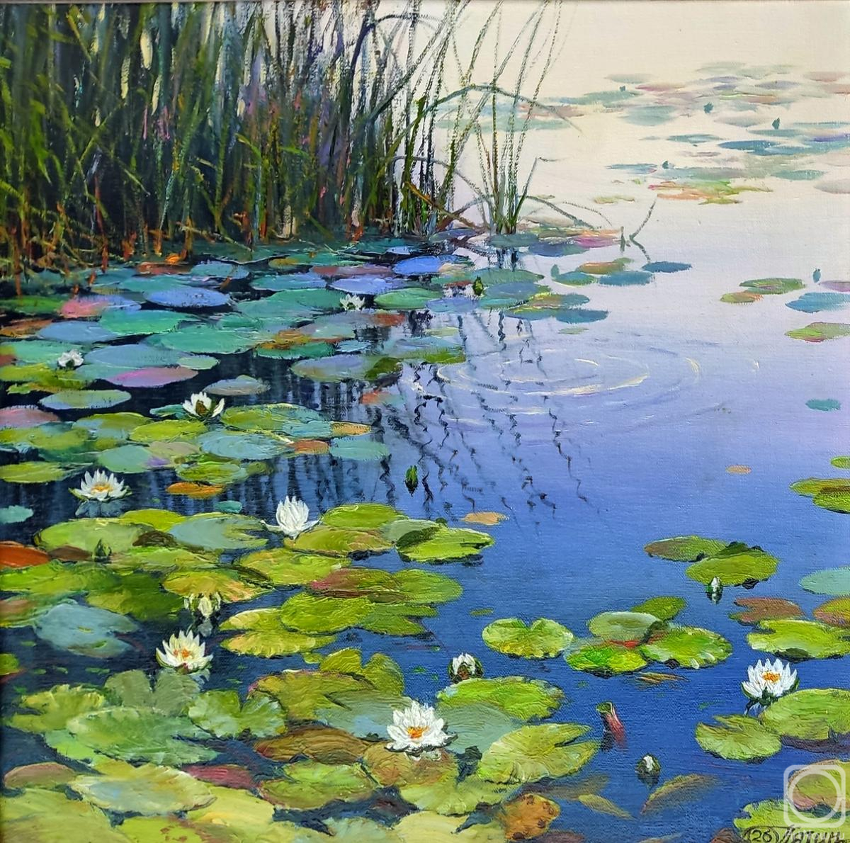 ������� ������ �� ������. ����� ����. ��������� ������� ����