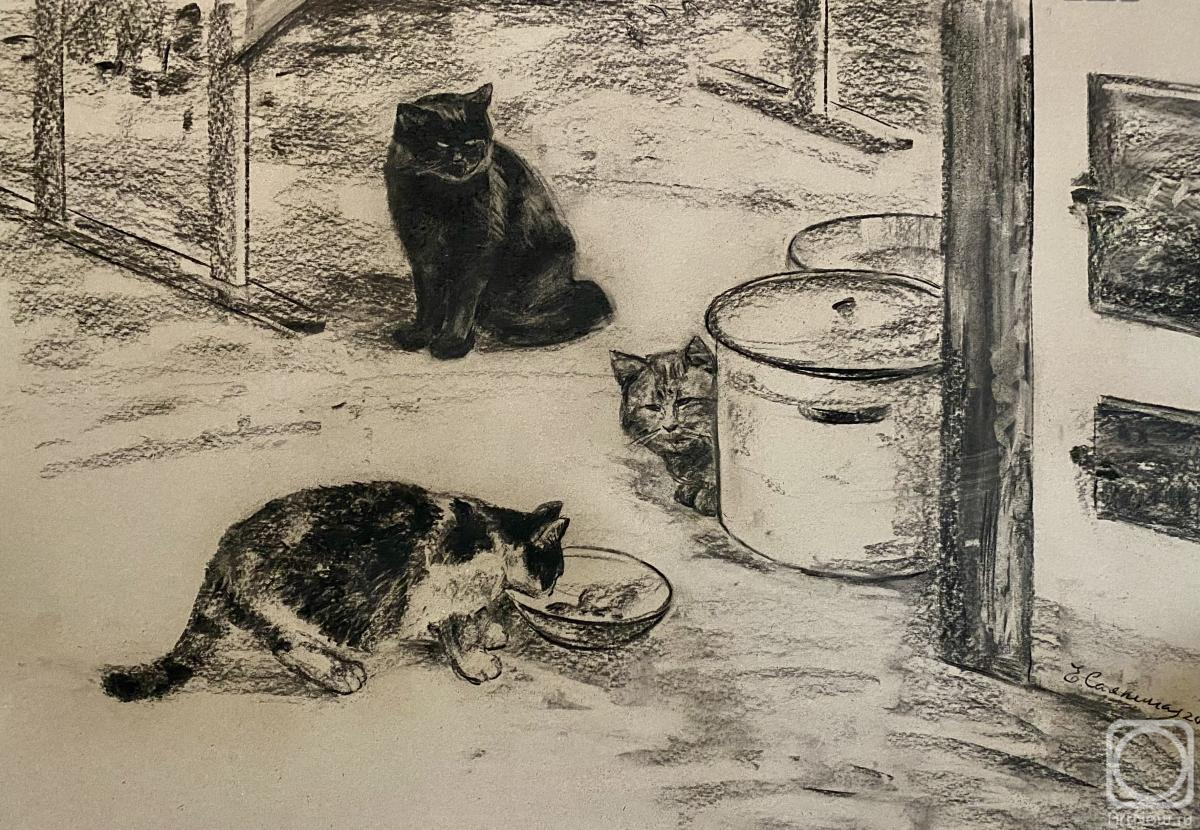 �������. ������� �����. ������ �������