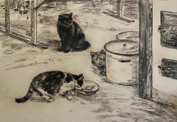 ������ �������