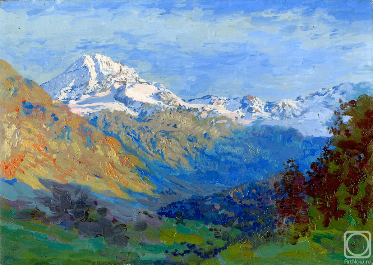 Kozhin Simon. Morteratsch Glacier. Alps