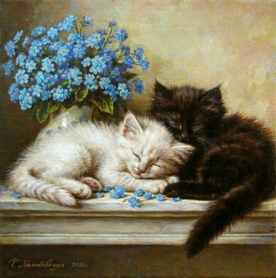 ���������