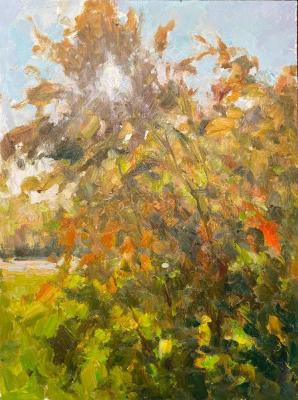 ������� ���������� ����