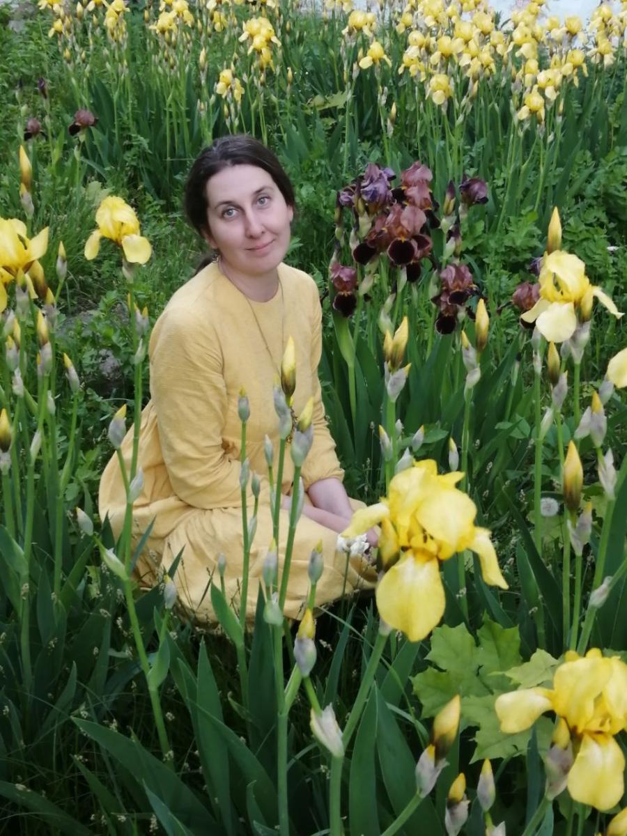 ������������ �������� ���������