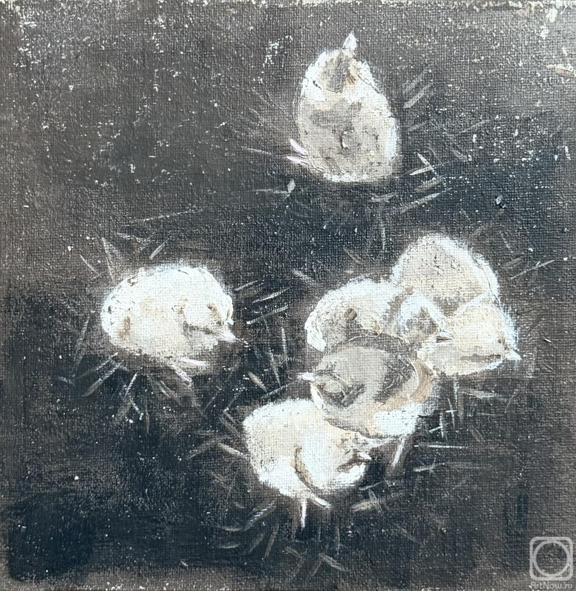 �������. �������� ������. �������