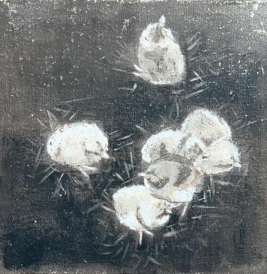 �������. �������� ������