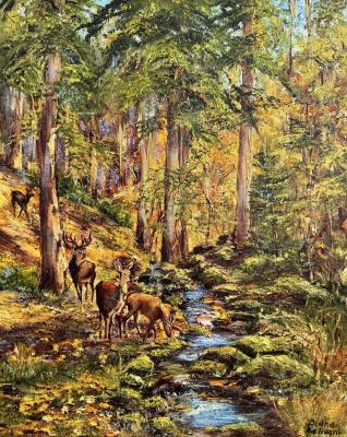 In the Autumn Forest