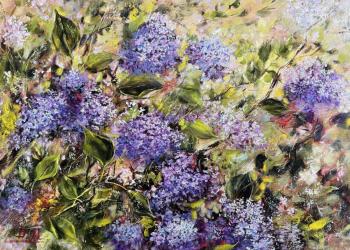 In the Spring Sunshine