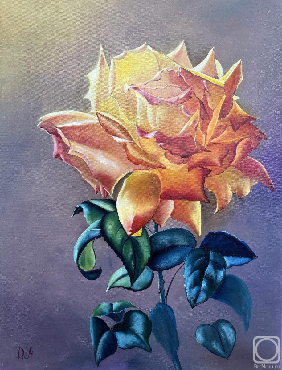 ������� ������ �� ������. �������� �����. ����