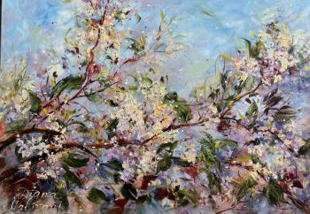 Spring. Malivani Diana