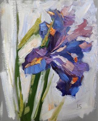 ������� ������ ����� 2�