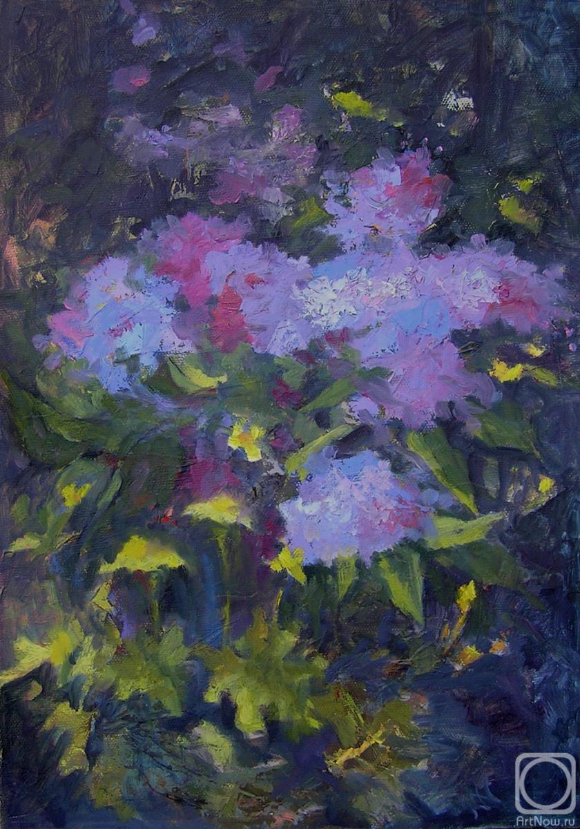 ������� ������ �� ������. ������� �������. ������� ����� � ������ ����