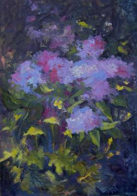 ������� ����� � ������ ���� (����������� �������� �������). ������� �������