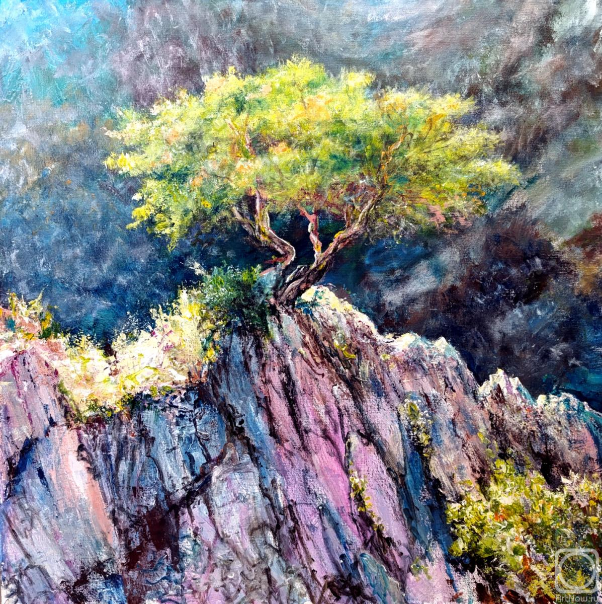 �������. �������� ������. �����