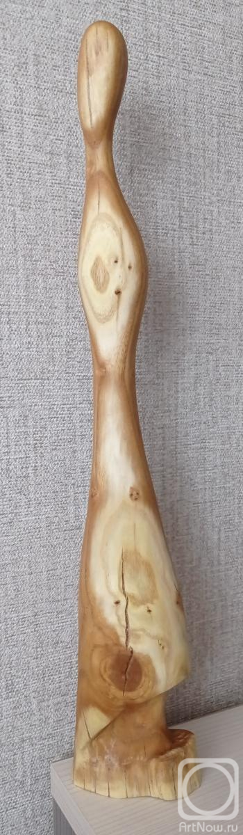 ������� ���������. �������