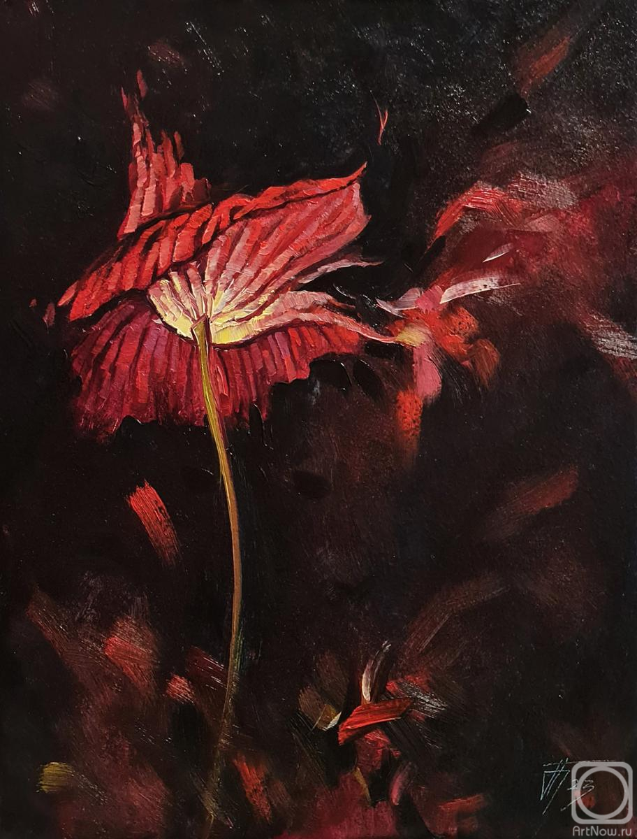 �������. ������� ���������. ������������� 44