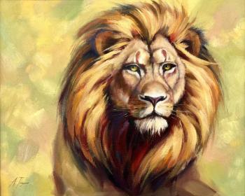 ���� ������. ������ ����