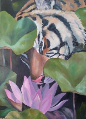 ������� ����� � �����