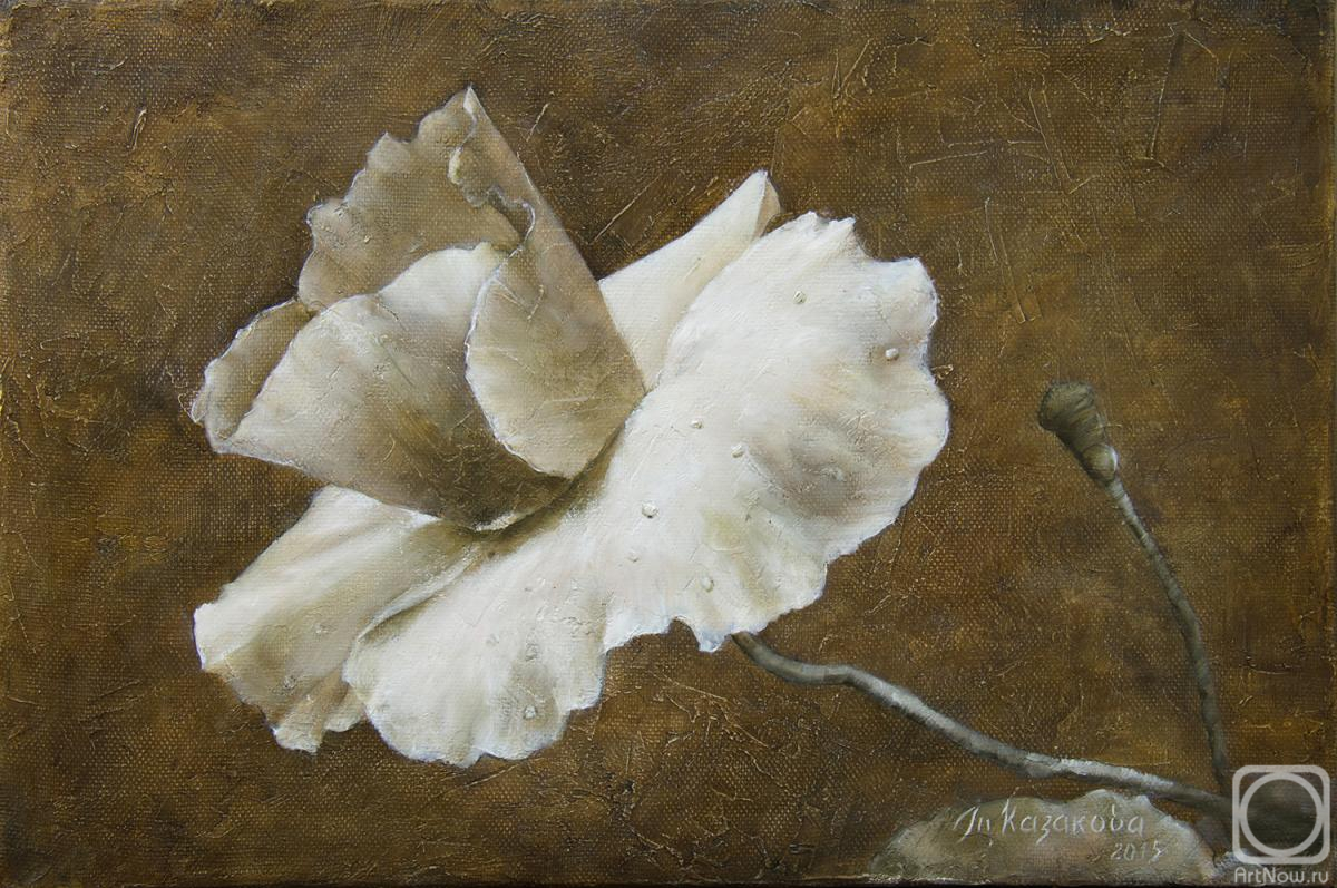 ������� ������ �� ������. �������� �������. �������