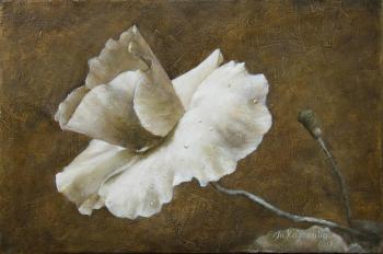 �������. �������� �������