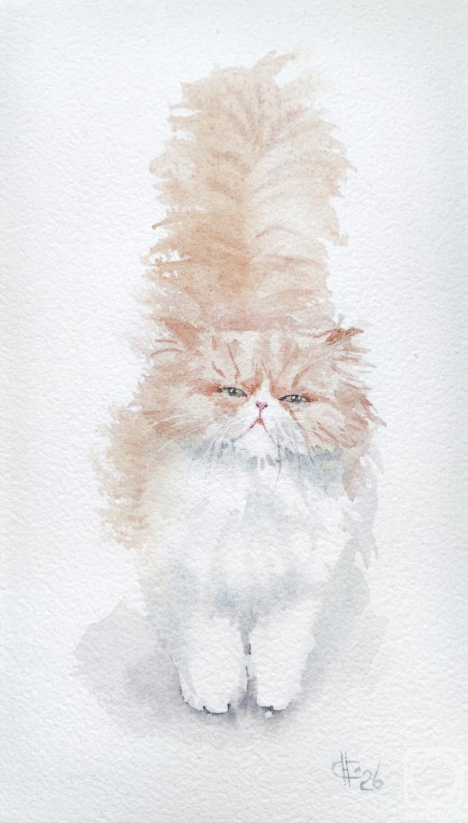 �������. ������ �������. �����