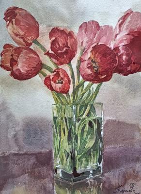 ������� ��������. �������� ���������