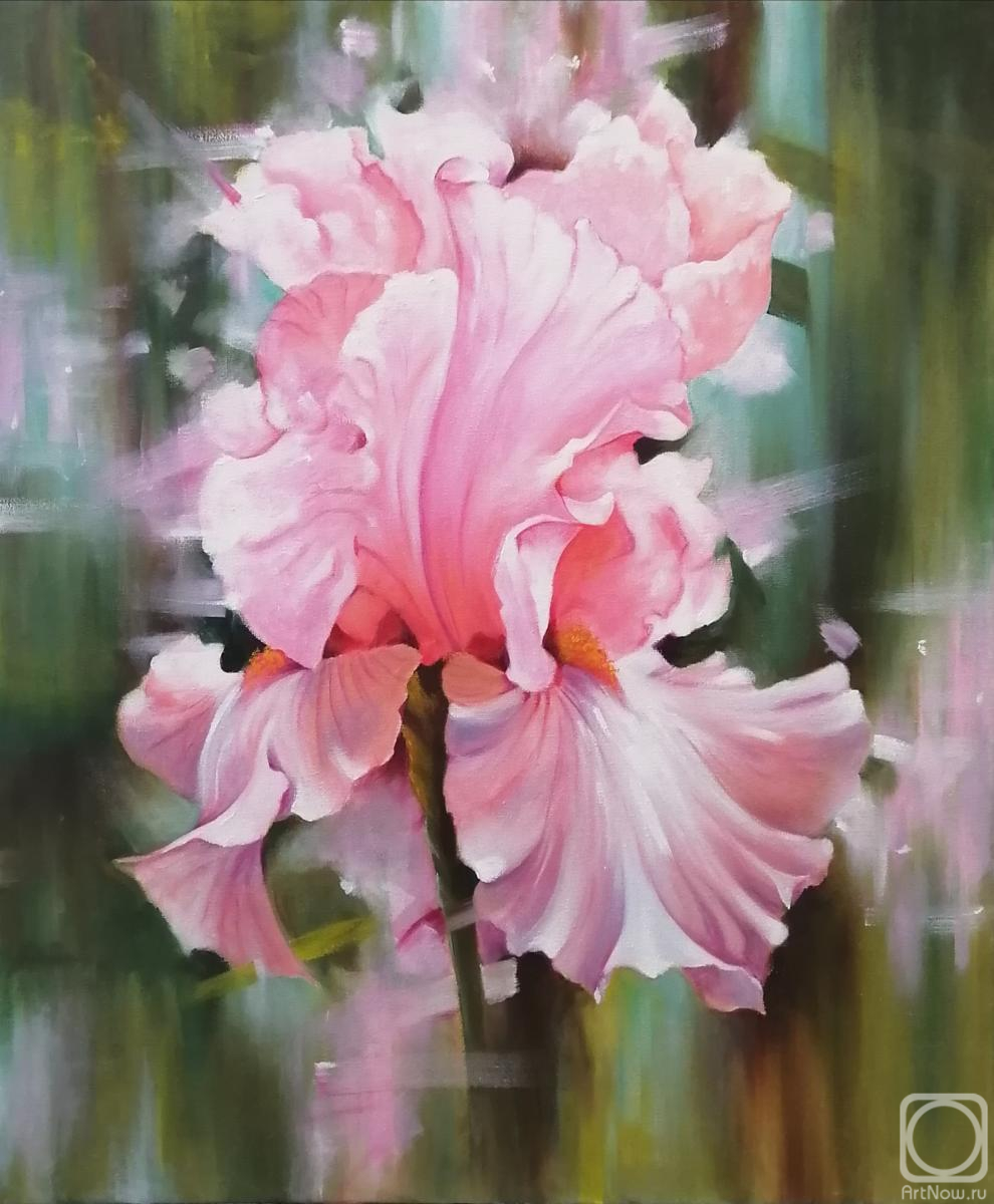 ������� ������ �� ������. ��������� �����. ������� ����