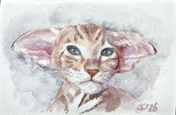 ������� ���� � ���. ������� ����� ����������