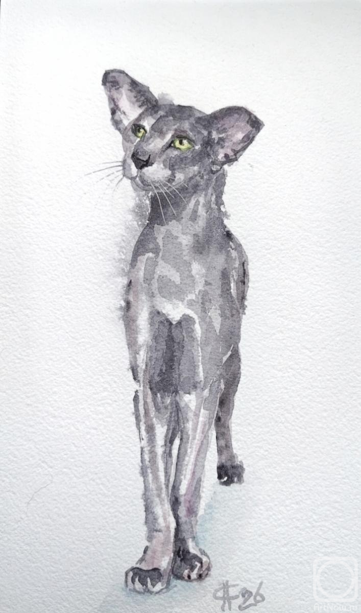 �������. ������ �������. ��������. �����