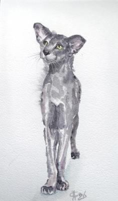 ��������. ����� (������� �� ������ ����). ������ �������