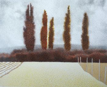 ���� ������� ���������. �������� ����