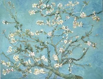 �������� ����� �������, ����� ��� ���. ��������� �����